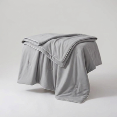 ITERPUB::cold-fleurlys-9155300622510::05-variant-grey