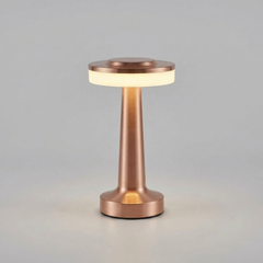 ITERPUB::cold-fleurlys-9155320316078::05-variant-rose-gold