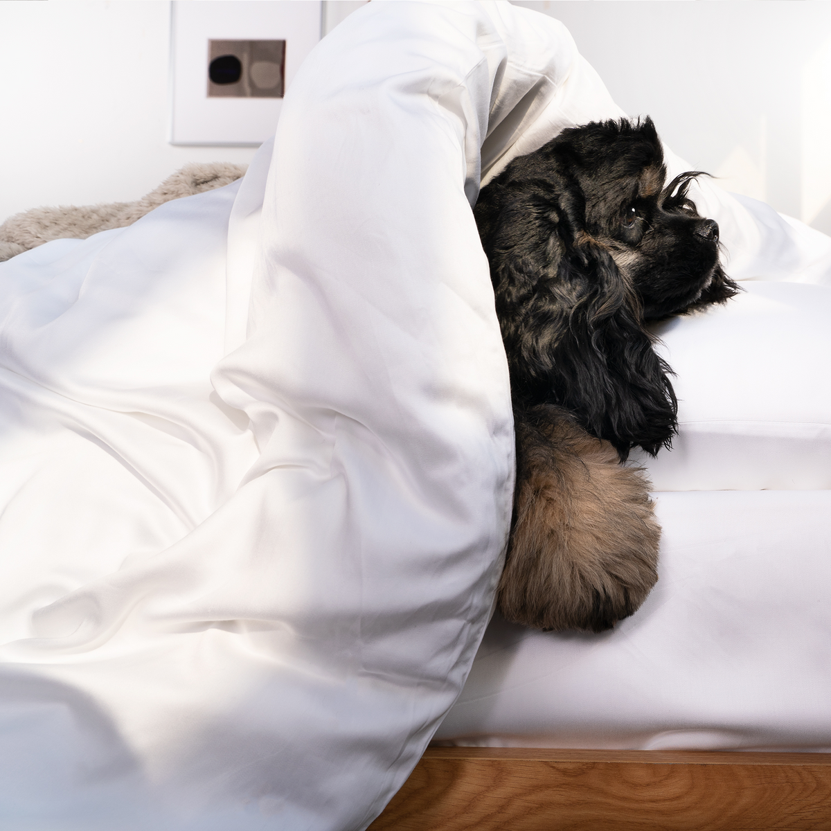 BAMVELA - Bamboo Duvet Cover That Repels Pet Hair