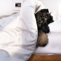 BAMVELA - Bamboo Duvet Cover That Repels Pet Hair