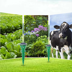 BURROVA - Solar Animal Repellent for Protecting Lawns and Gardens