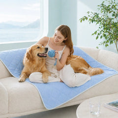 FROZELI - Reversible Cooling Dog Blanket That Protects Statement Seating