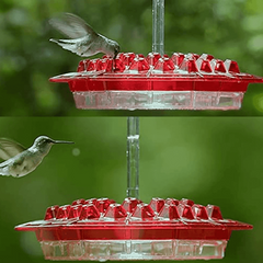 NECTARHAVEN - Ant-Proof Hummingbird Feeder for Lively Garden Visits