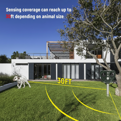 AVIFORA - Solar Ultrasonic Bird Repeller for Protected Gardens