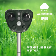 AVIFORA - Solar Ultrasonic Bird Repeller for Protected Gardens
