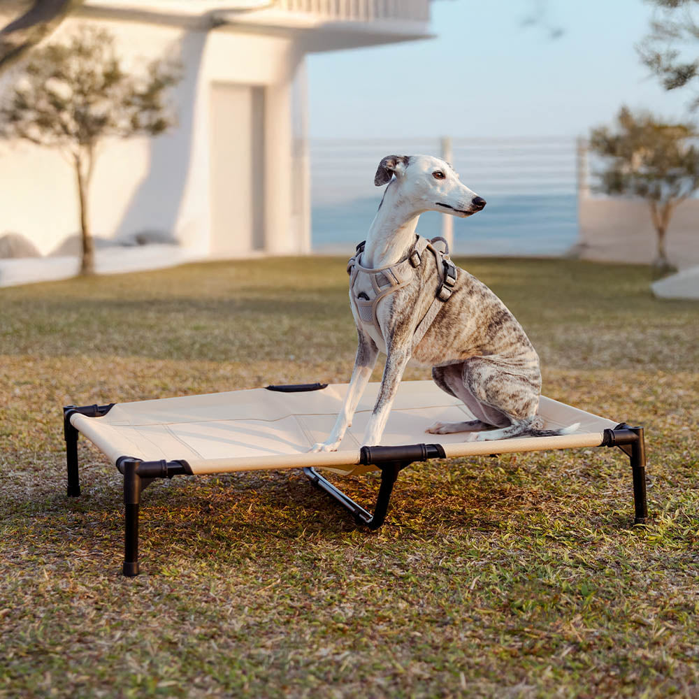 VAYLORA - Elevated Canopy Dog Bed for Cool Sheltered Rest