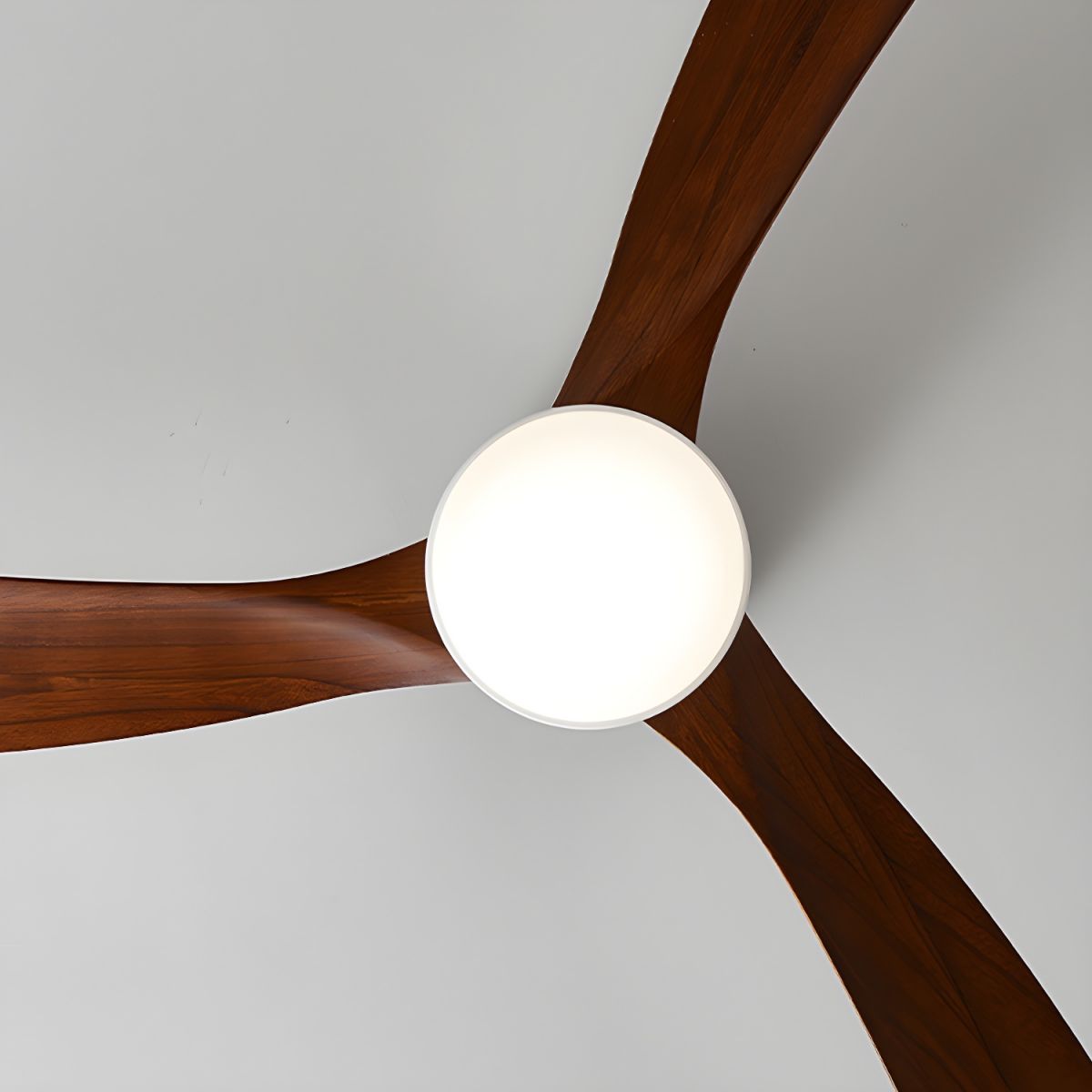 VAYLORA - Sculptural Wooden Ceiling Fan Light for Quiet Comfort