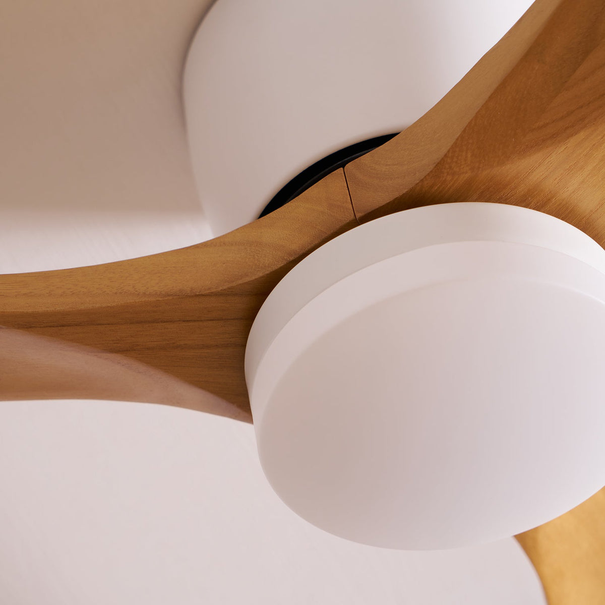 VAYLORA - Sculptural Wooden Ceiling Fan Light for Quiet Comfort