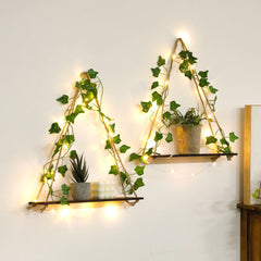 LEAFYRA - Illuminated Wood Shelf for Botanical Wall Displays