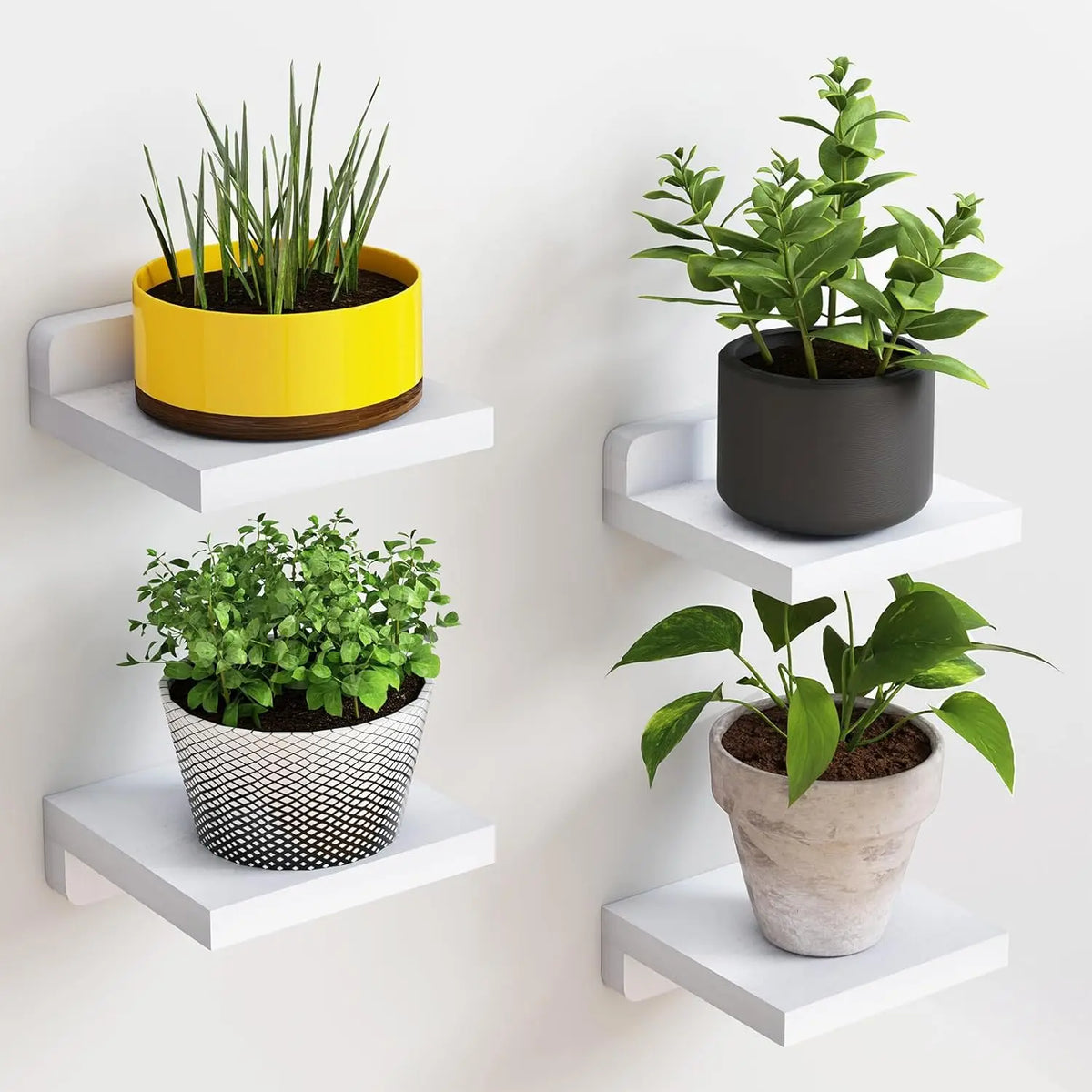 ORNELIQ - Mini Wood Shelves to Frame Statement Seating