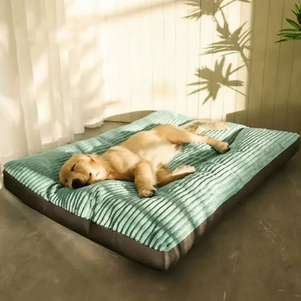 FLAUSCHNEST - Orthopedic Dog Bed for Joint-Supporting Rest