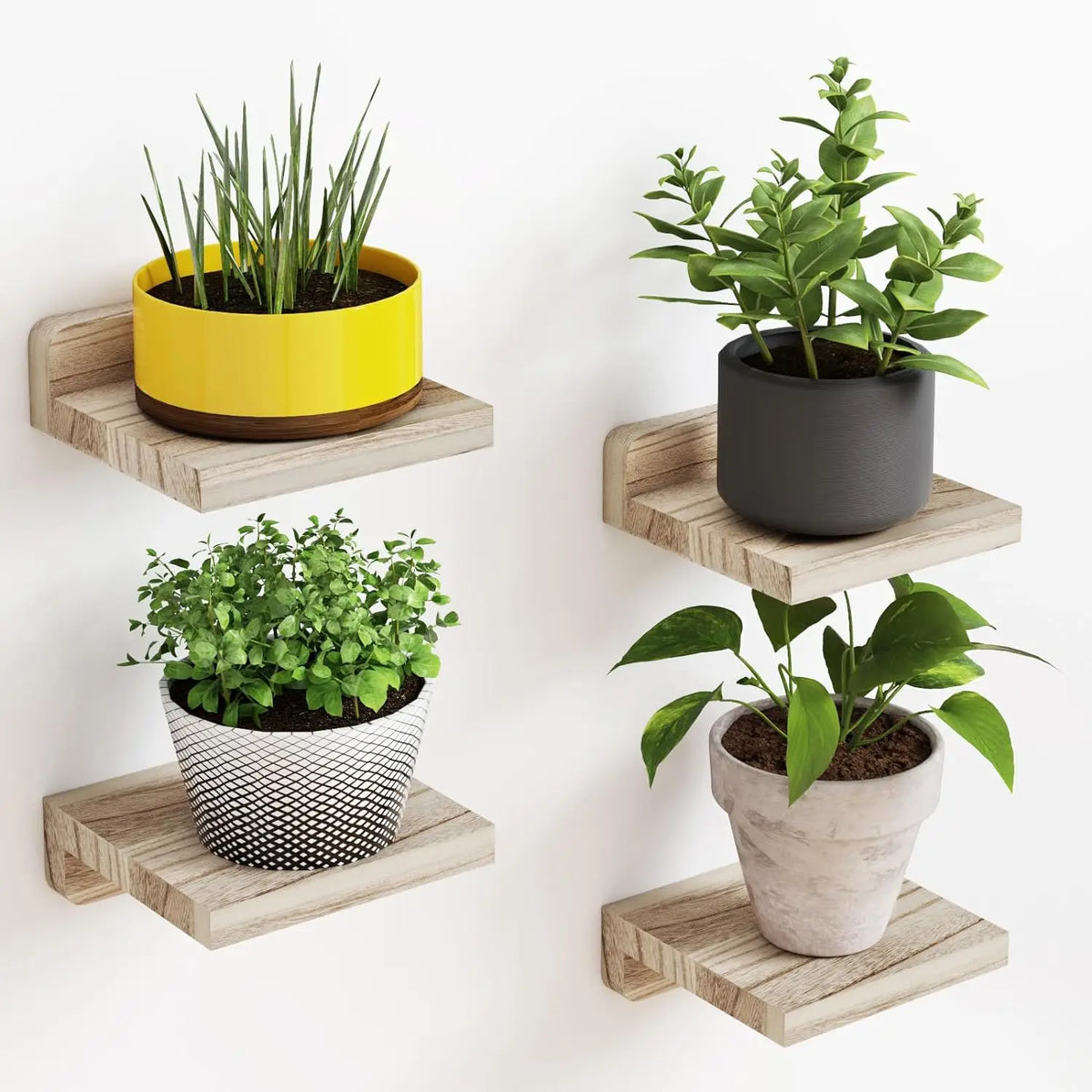 ORNELIQ - Mini Wood Shelves to Frame Statement Seating