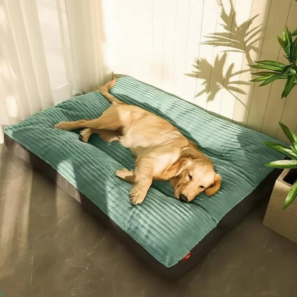 FLAUSCHNEST - Orthopedic Dog Bed for Joint-Supporting Rest