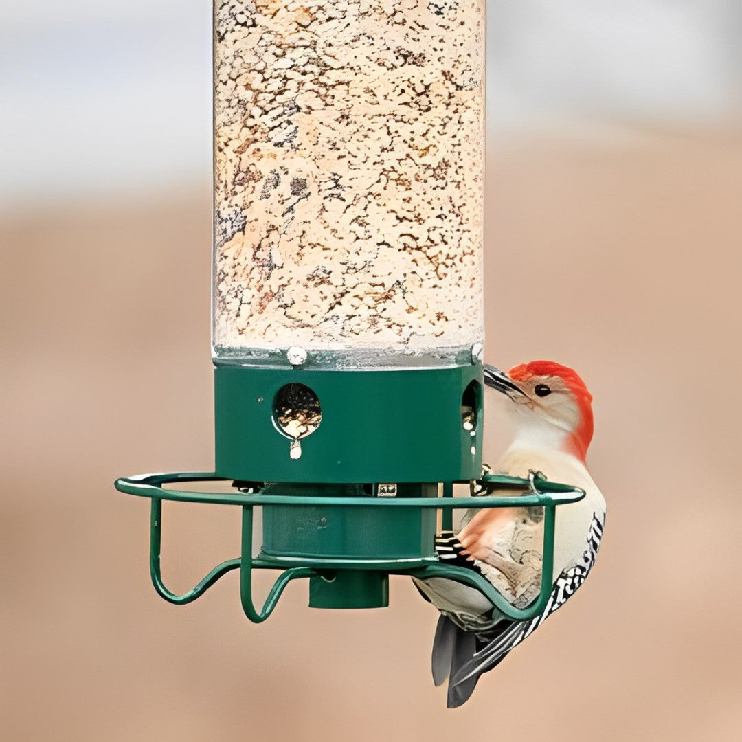 FEEDSAFE - Squirrel-Proof Bird Feeder That Keeps Seed for Birds