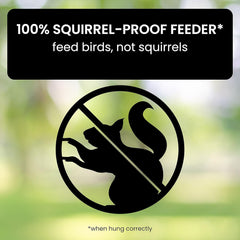FEEDSAFE - Squirrel-Proof Bird Feeder That Keeps Seed for Birds
