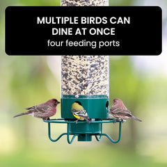 FEEDSAFE - Squirrel-Proof Bird Feeder That Keeps Seed for Birds