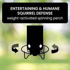 FEEDSAFE - Squirrel-Proof Bird Feeder That Keeps Seed for Birds