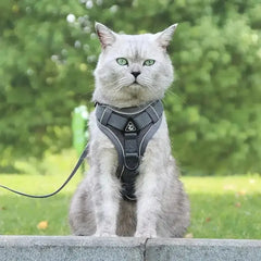 FELNIVO - Escape-Resistant Y-Shaped Cat Harness for Safer Walks